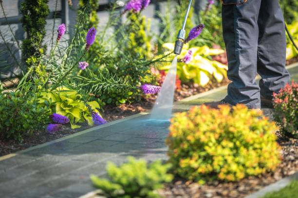 Trusted New Madison, OH Pressure Washing Services Experts